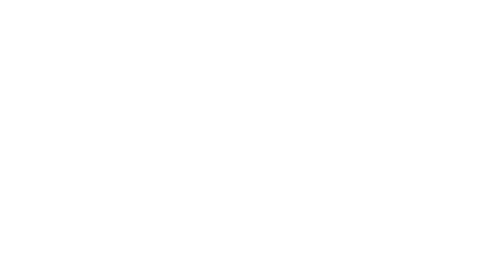 Prepaid Now logo white